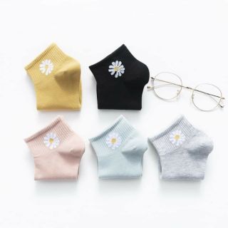 Set tất gấu hoa cúc trend