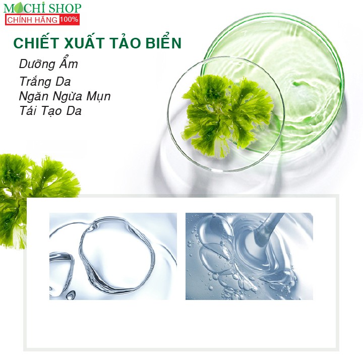 Mặt Nạ Ngủ Tảo Biển Dưỡng Trắng Da Cấp Ẩm Ngừa Mụn Mask Rong Biển Seaweed Laikou Nội Địa MOCHI SHOP Nha Đam Lô Hội