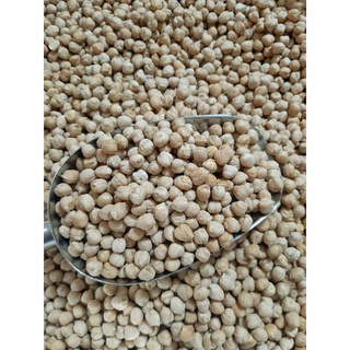 Hạt đậu gà ấn độ
