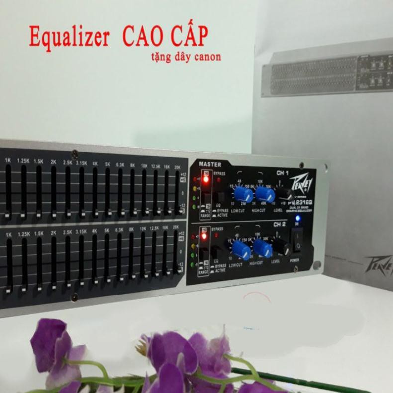 LỌC XÌ PEAVEY 231EQ tặng 1 đôi dây canon