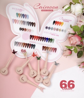 SƠN GEL CAIMOON 66 MÀU