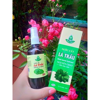 Nước cất lá trầu không