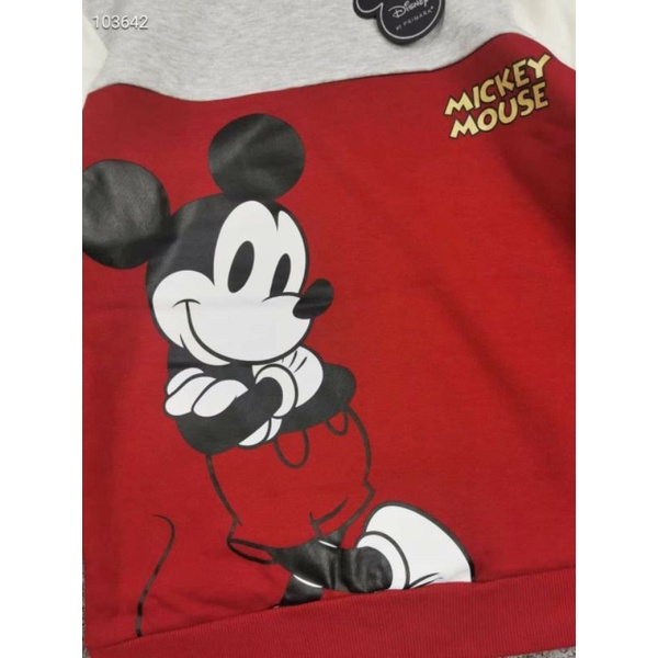 Áo nỉ mickey dư xịn 7/8-14/15 tuổi