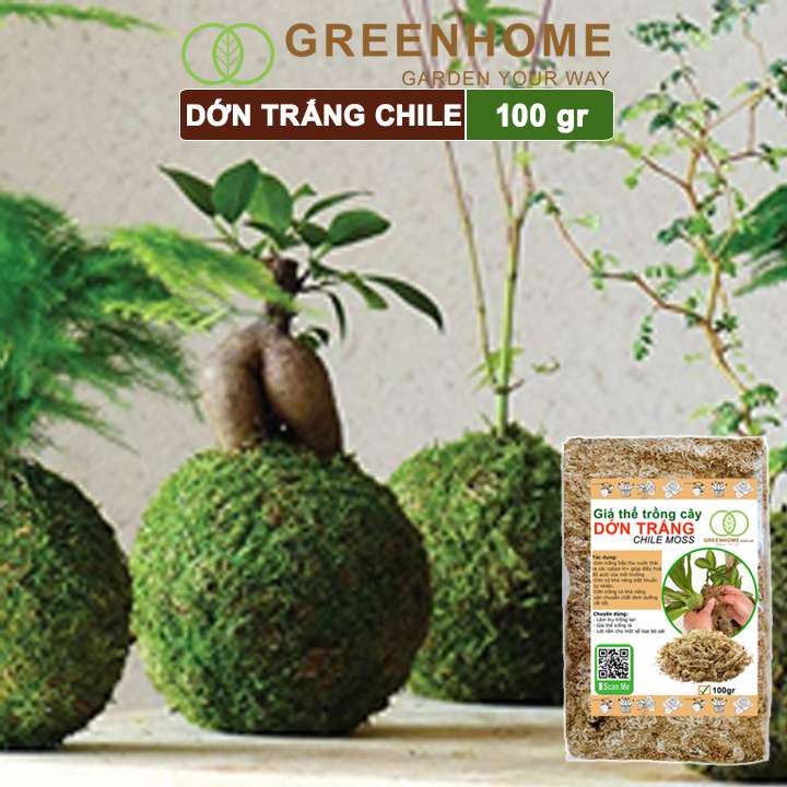 Giá thể dớn trắng Greenhome, gói 100gr, đã qua xử lý, giữ ẩm tốt, kháng khuẩn tự nhiên, trồng lan, kiểng lá