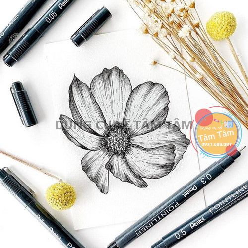 [ TÂM TÂM ]-Bút line Pentel, Bút đi nét Pentel, Pentel PointLiner sản xuất tại Nhật-