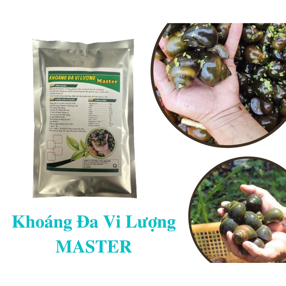 Khoáng đa vi lượng Master 1kg cho ốc nhồi