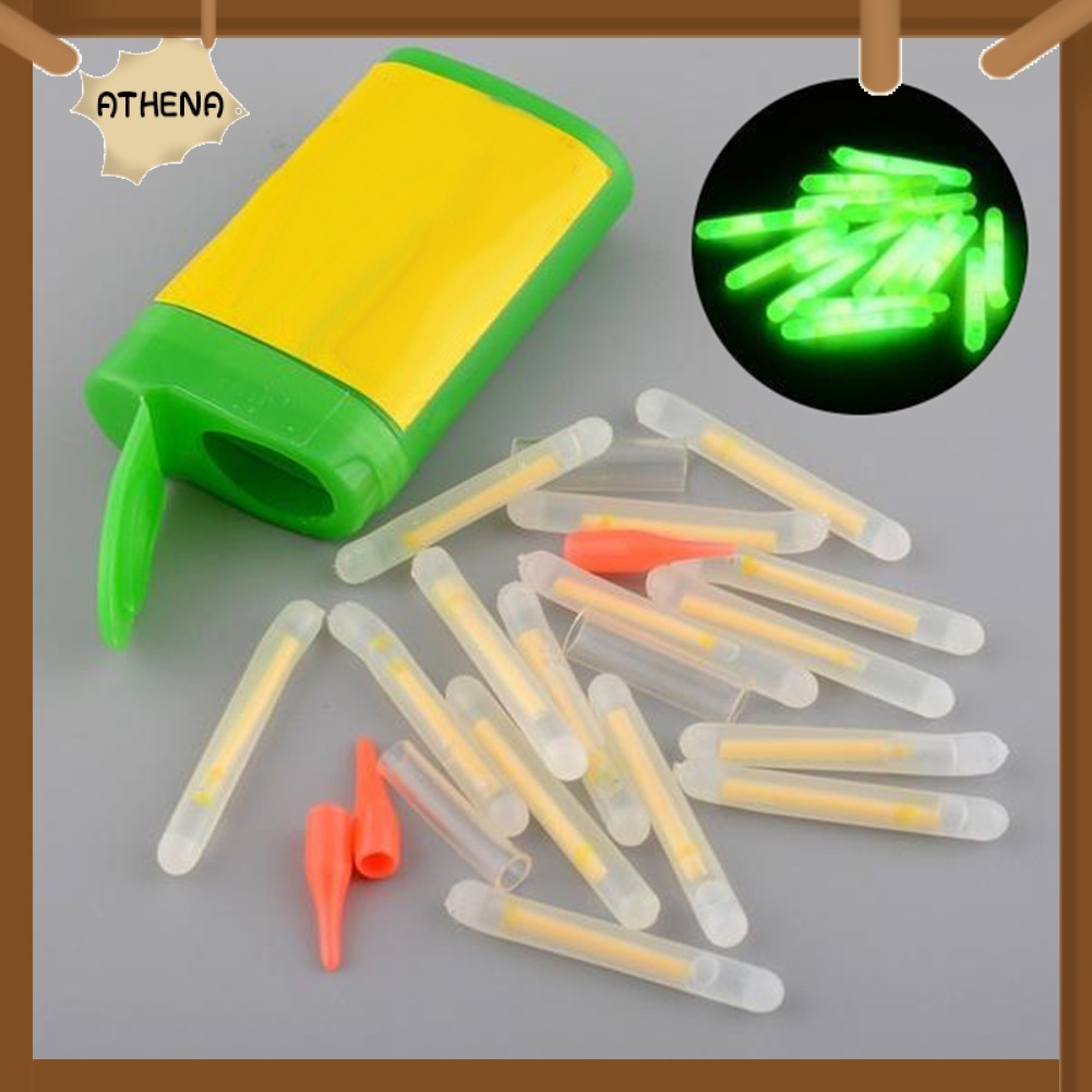 Bộ 15 Phao Câu Cá Phát Sáng Trong Bóng Tối