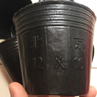 1kg bầu ươm cây 12-10 khoảng 400-450 bầu