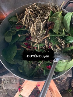 Dung dịch vệ sinh phụ nữ thảo mộc