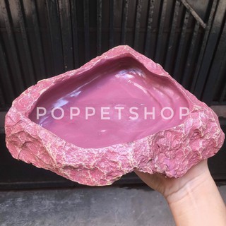 Máng ăn- Máng nước dành cho bò sát
