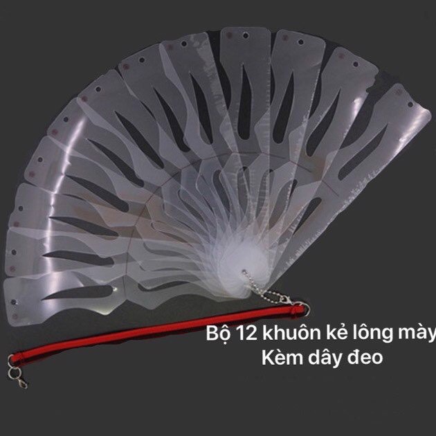 Bộ 12 khuôn kẽ chân mày - BX1562