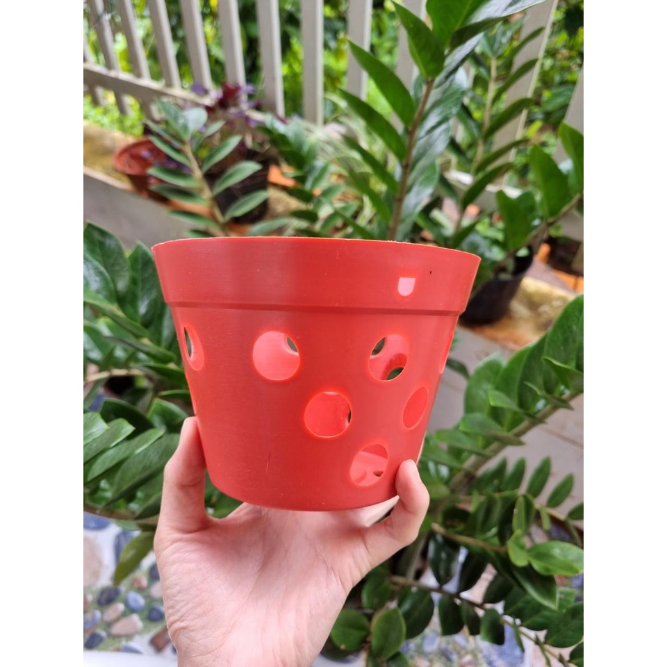 [Siêu Sale] set 10 chậu nhựa giả đất f14 trồng hoa lan, cây kiểng lá hàng loại 1 dày chắc chắn