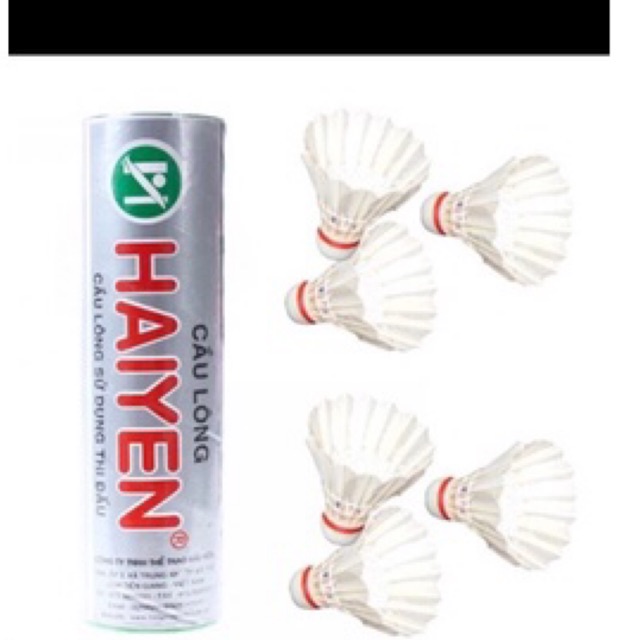 Đại lý phân phối sỉ số 1 cầu lông hải yến 6 trai hàng chính hãng rẻ nhất