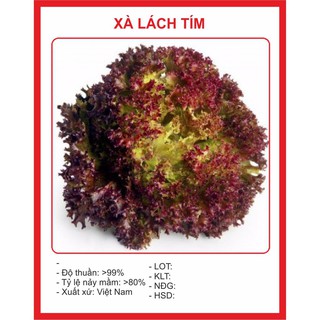( BOK GARDEN ) XÀ LÁCH XOĂN TÍM 0.2GR