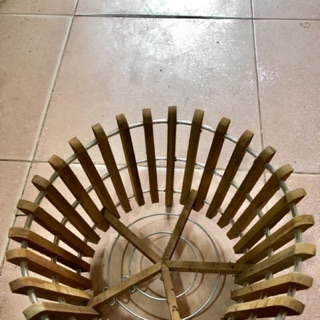 Chậu trồng lan gỗ sao vàng