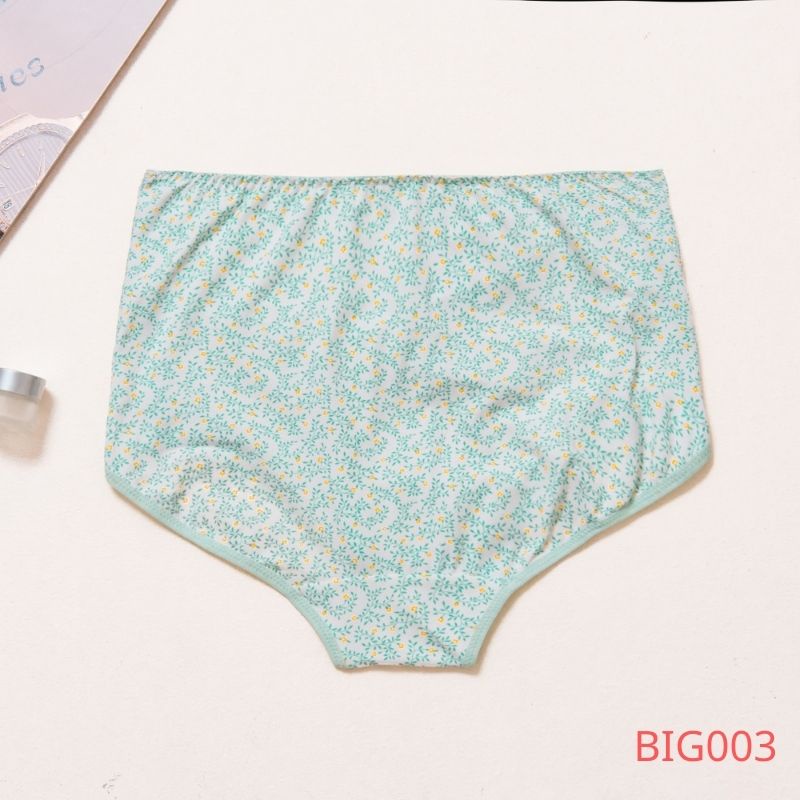 Quần Lót Bầu Cạp Cao Cotton Sợi Tre Co&amp;Com Co Giãn 4 Chiều Kháng Khuẩn Mềm Mại BIG002/ BIG003/ BIG007-1