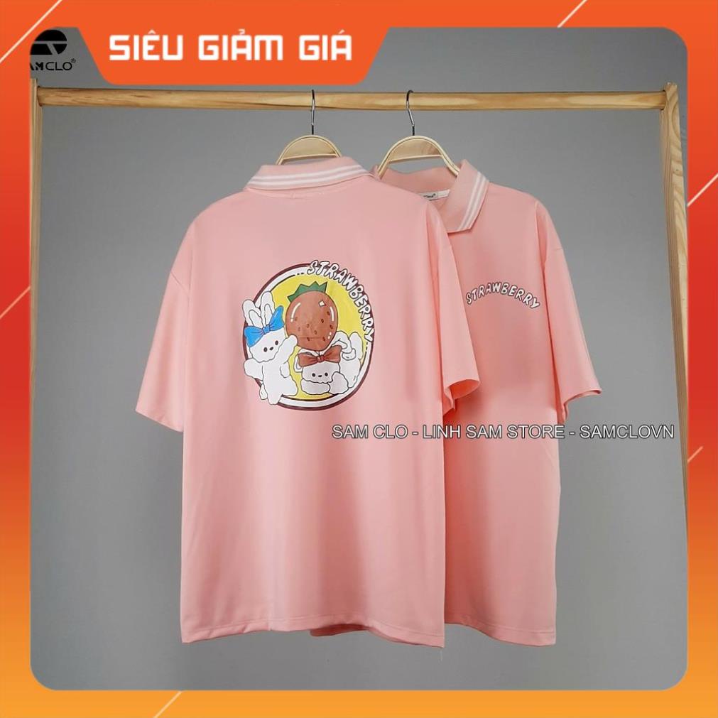 Áo thun Polo nữ tay lỡ form rộng SAM CLO phông freesize unisex mặc đi học, nhóm, lớp in hình thỏ trắng chữ STRAWBERRY