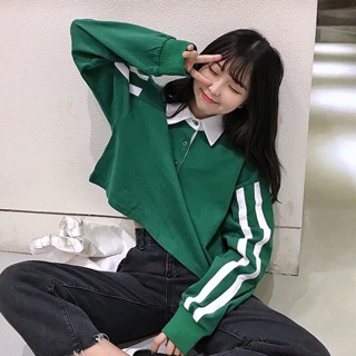🐾CropTop Cổ Petter Chạy Sọc
