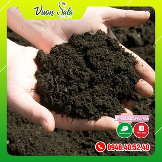 Tro (trấu hun) giá thể trồng rau trồng cây bao