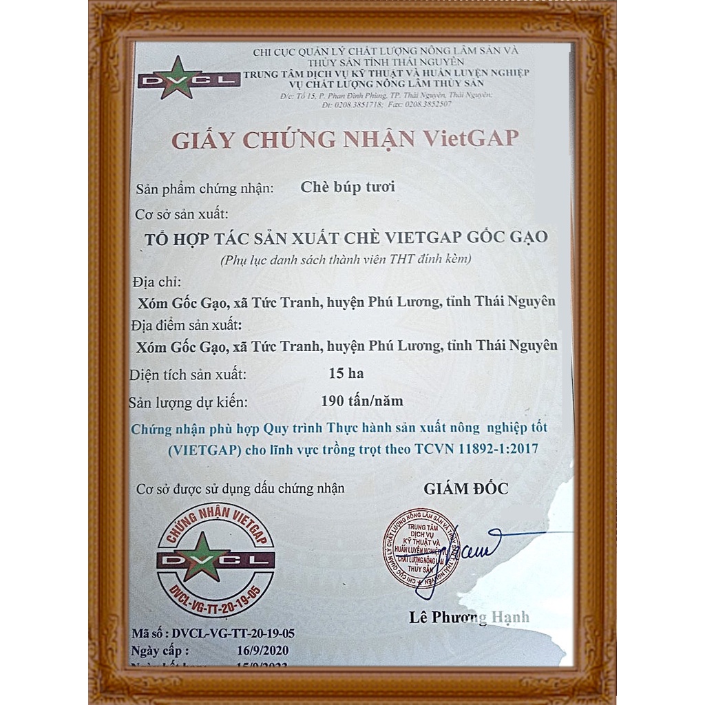 Trà búp loại 1 An Thái tiêu chuẩn VietGap thơm ngon - Trà Thái Nguyên hút chân không gói 200g dùng ở cơ quan ban ngành | BigBuy360 - bigbuy360.vn