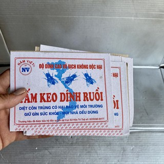 Miếng Keo Dính Ruồi Siêu Dính Siêu Rẻ