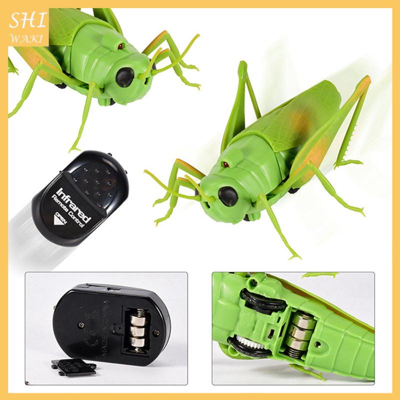 Đồ Chơi Mô Hình Côn Trùng Máy Bay Điều Khiển Từ Xa Mẫu Mới Lạ Làm Quà Tặng Cho