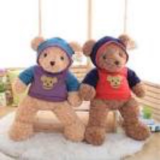 Gấu bông Teddy