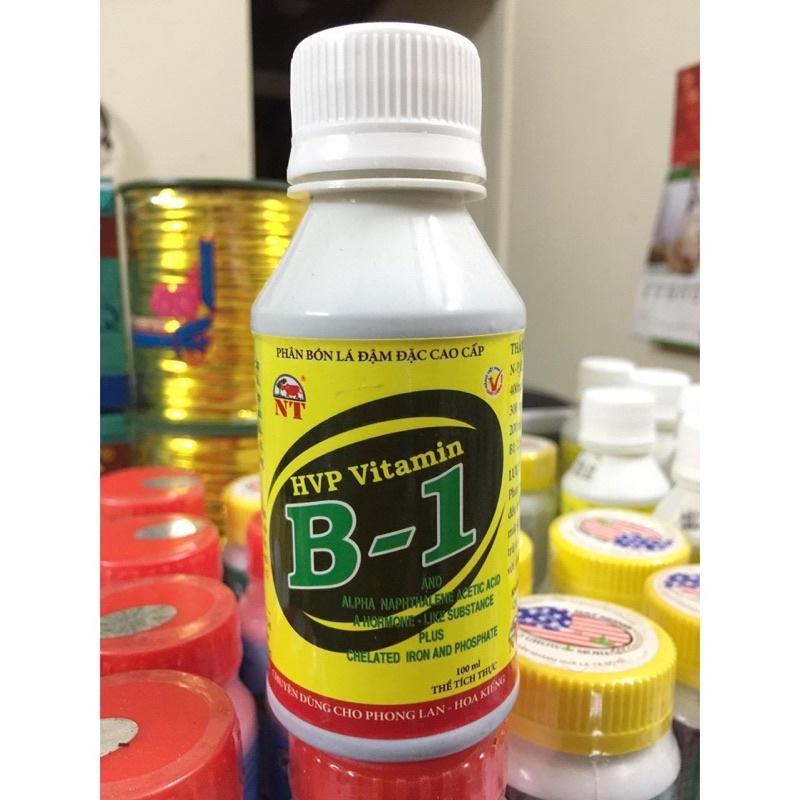 Vitam B1 HVP kích rễ kích chồi 100ml