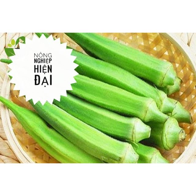 Hạt Giống Đậu Bắp Cao Sản (20gram)