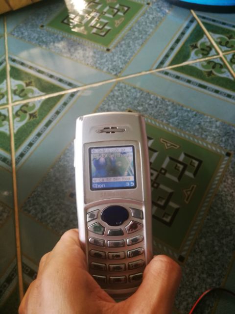 Điện thoại Samsung c100 cổ