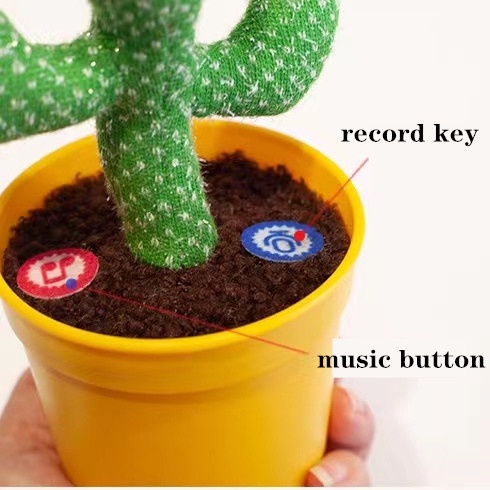 Đồ Chơi Cây Xương Rồng Nhảy Múa Có Đèn Led