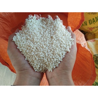 GẠO NẾP NGON_NẾP NGỖNG_NẾP CÁI HOA VÀNG