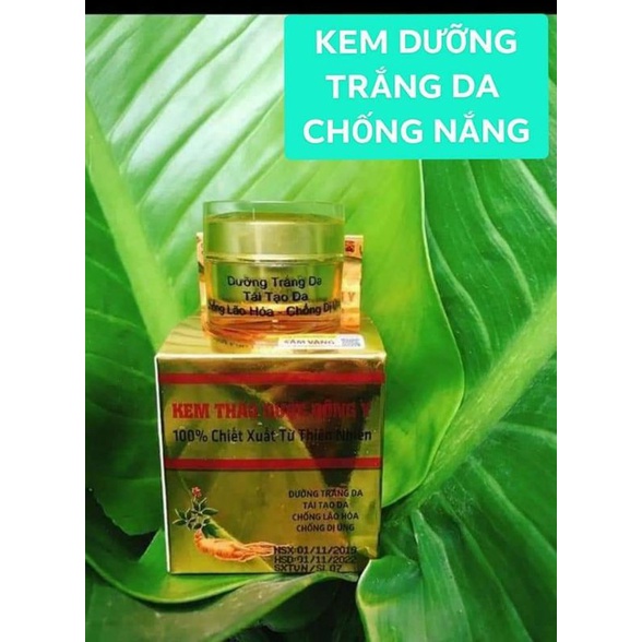 kem sâm vàng Thảo dược Đông y