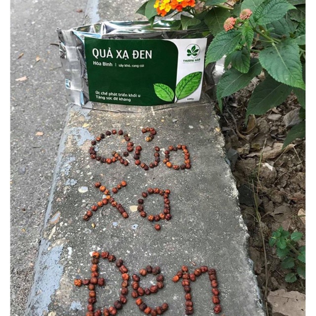 100g hạt xạ đen đạt chuẩn GMP-WHO