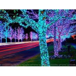Led đúc F5 12V trang trí cuốn cây treo ngoài trời, 50 bóng led/ cuộn