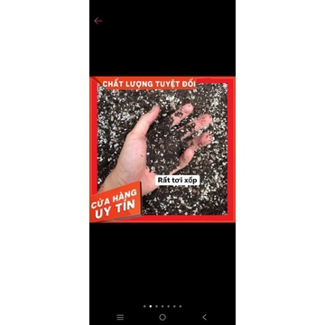 1 BAO ĐẤT TRỒNG CÂY SEN ĐÁ XƯƠNG RỒNG