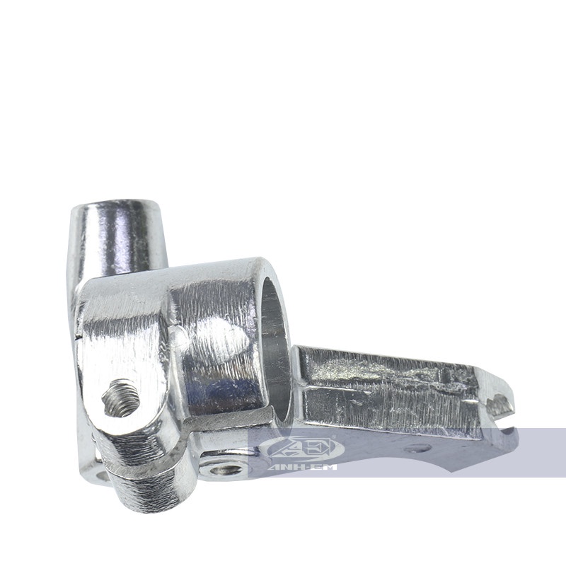 Cùi ampida (SYS) (RGV) RGV120-0737