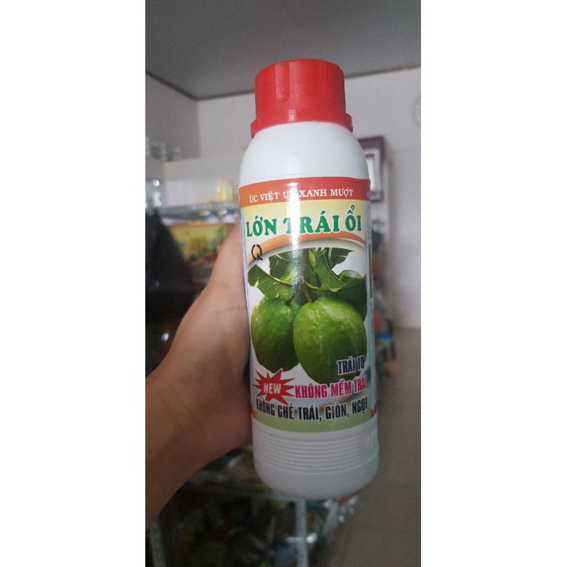 phân bón lá lớn trái ổi