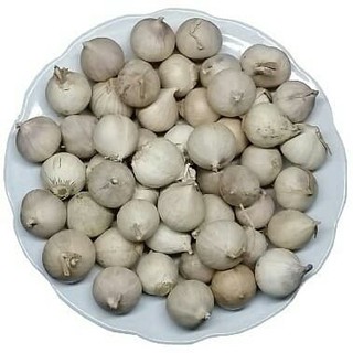 1kg tỏi cô đơn