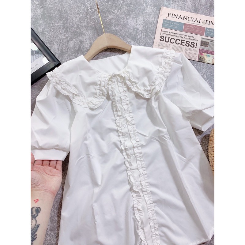 ÁO SƠ MI TAY CỘC CỔ SEN BÈO | BigBuy360 - bigbuy360.vn