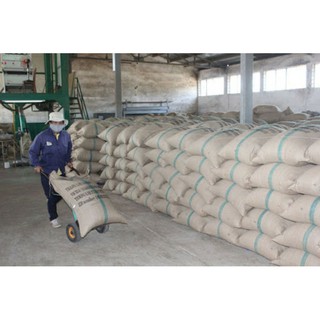 set 2kg cà phê arabica rang mộc ( hạt tuyển)