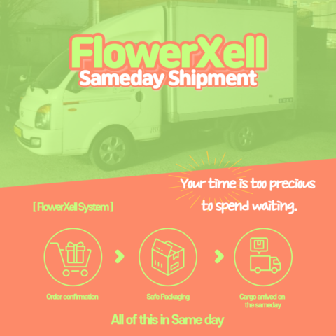 INNISFREE (Hàng Mới Về) Phấn Nước Với Chỉ Số Spf33 Pa + + 14g 14g | BigBuy360 - bigbuy360.vn