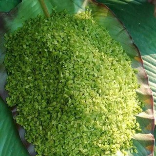 1Kg Cốm Xanh - Cốm Vàng Dùng Nấu Chè.