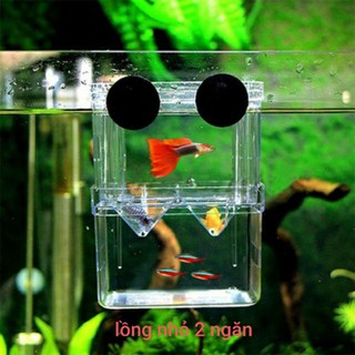 Lồng dưỡng cá, tách cá đẻ