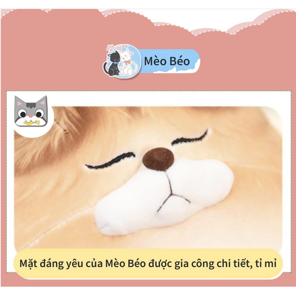 New Gấu Bông Mèo Béo Cực Đáng Yêu Mua Hàng Ngay