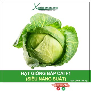 Hạt Giống Bắp Cải Phú Nông Gói 300 mg