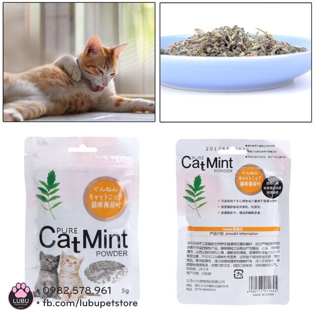 Cỏ Bạc Hà Mèo Catnip Hahale – Gói Catmint