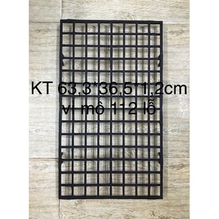 khay vỉ trồng hoa lan nuôi cấy mô