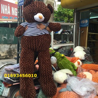 GẤU BÔNG TEDDY CAO CẤP 1M8 (socola)