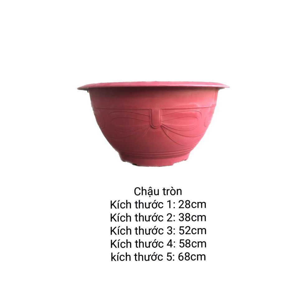 Chậu Không Khoan Lỗ T48CM chậu trồng sen nước, trồng hoa súng